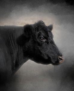 Portrait Of The Black Angus