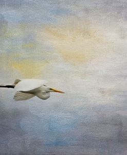 Silent Flight Great White Egret