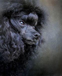 Snack Spotter Toy Black Poodle