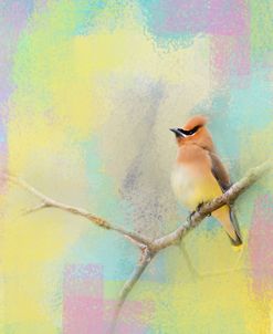 Song Of The Waxwing