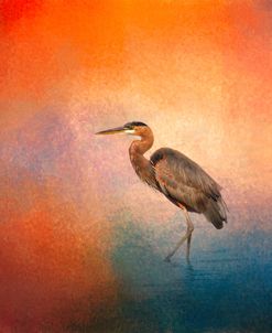 Sunset Heron