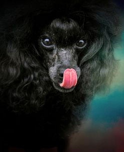 Treat Snatcher Toy Black Poodle