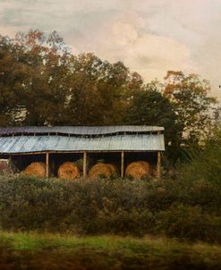 A Barn For The Hay