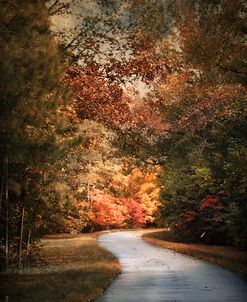 Autumn Passage 1