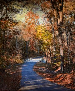 Autumn Stage