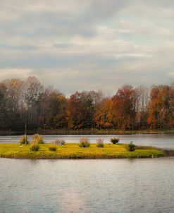 Autumn Rising At The Duck Pond