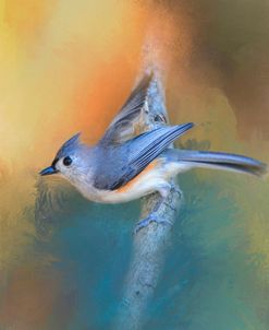 In A Flash Tufted Titmouse