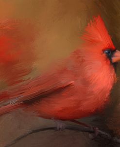 America’s Favorite Red Bird