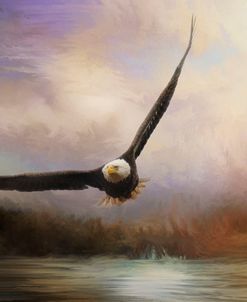 Eagle In The Marsh