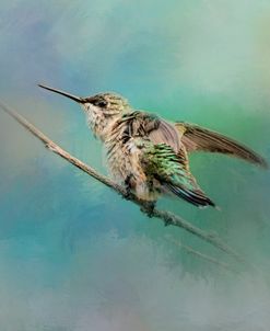 Hummingbird On Mint