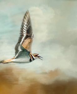 Flight Of The Killdeer