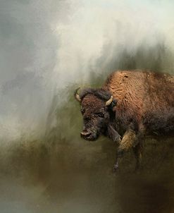 Bison After The Mud Bath