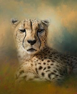 Cheetah Enjoying A Summer Day