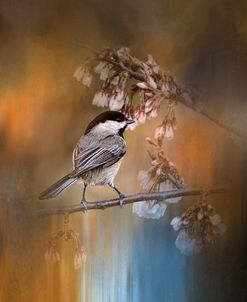 Chickadee In The Garden