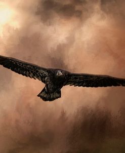 Juvenile Bald Eagle In The Sepia Sky