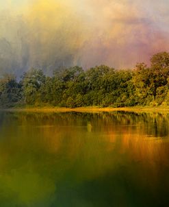 Rainbow of Color At The River