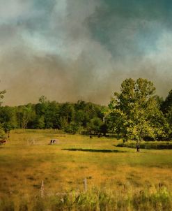 Tennessee Countryside