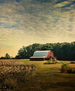 Red Barn At The Cotton Field