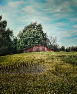 Red Barn On The Hill