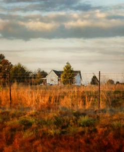 Breakfast At The Farm House