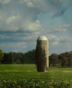 Country Beacon