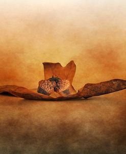 Fallen Together
