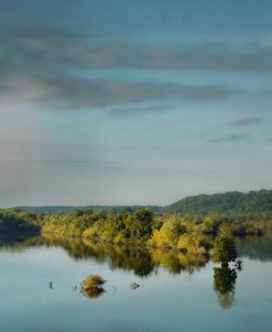 Morning Reflection