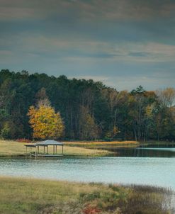 November Dock