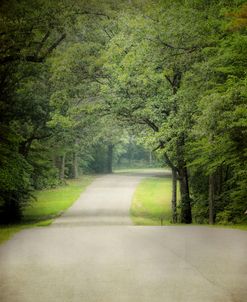 Summer Morning Stroll