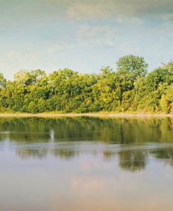 Tennessee River Reflections