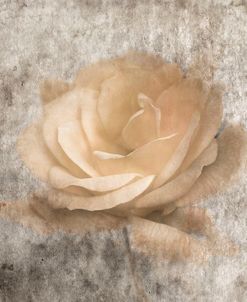 Vintage Rose 3