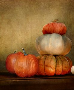 Pumpkins Still Life