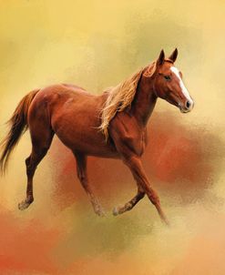 A Dash Of Chestnut Mare