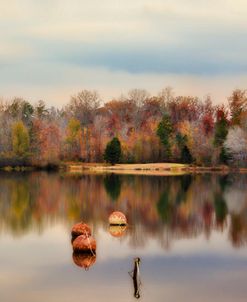 Autumn At Lake LaJoie 3