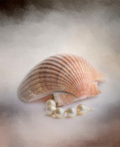 Sea Shell and Pearls