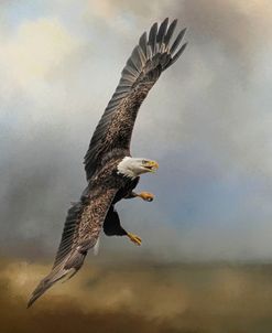 Up Against The Stormy Sea Bald Eagle