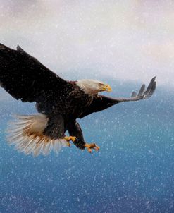 Snowy Flight Bald Eagle