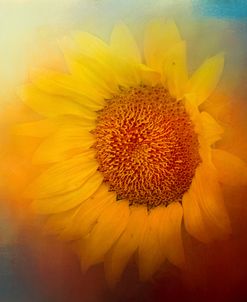 Sunflower Surprise