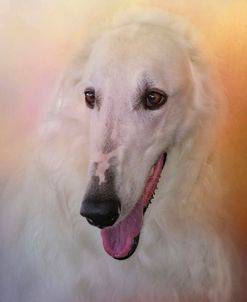 The Elegant Borzoi