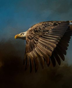 Storm Chaser Bald Eagle