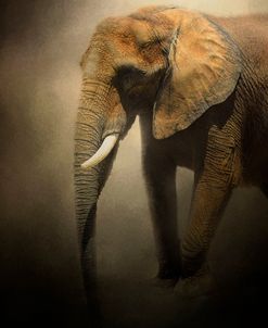 The Elephant Emerges