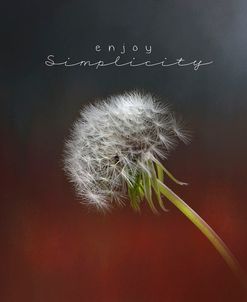 Enjoy Simplicity