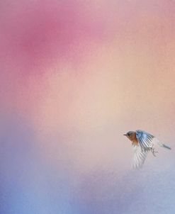 I Wish I Could Fly – Bluebird 1