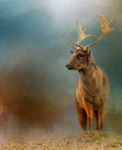 Painterly Fallow Buck