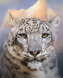 Snow Leopard At The Mountain