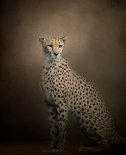 The Elegant Cheetah