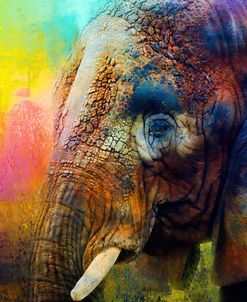 Colorful Expressions Elephant