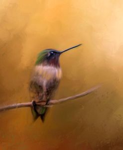 Hummingbird in Autumn