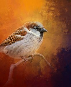 Autumn Sparrow