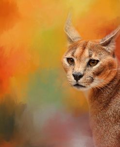 Caracal In Autumn